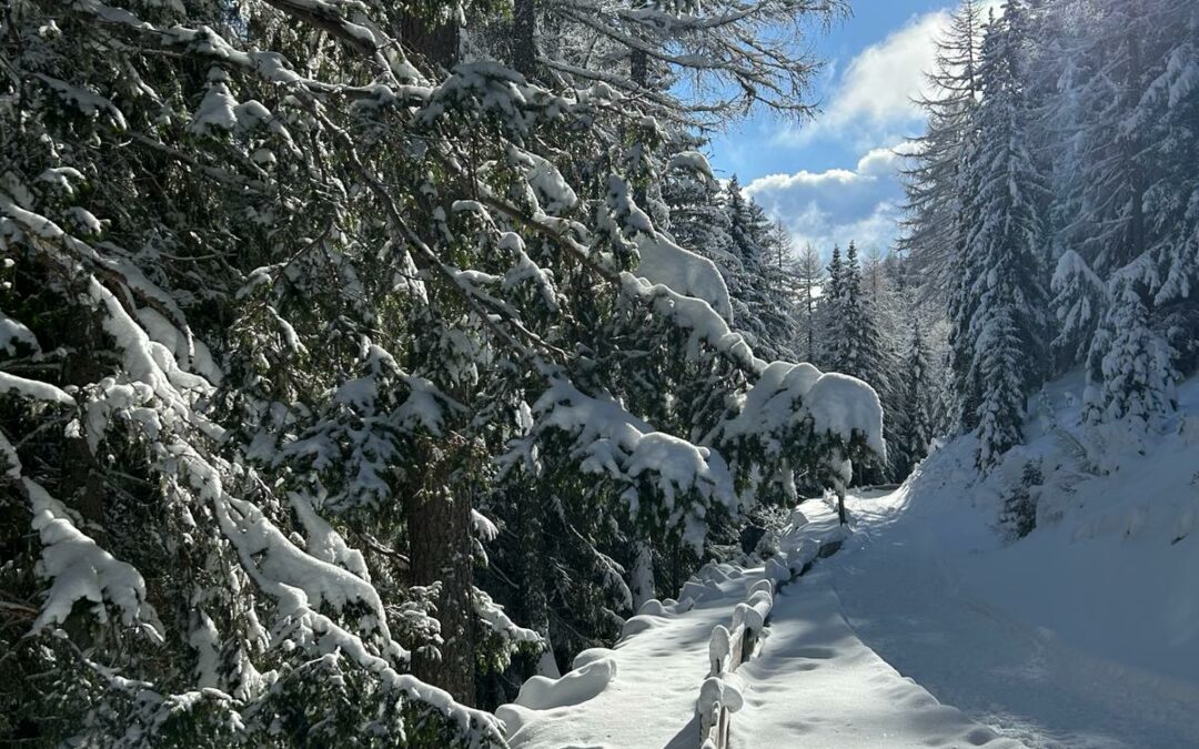FIL Jugendspiele / Ultental