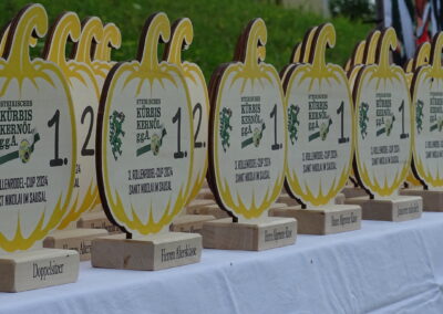 3. & 4. Rollensodelcup / St. Nikolai im Sausal – 13. & 14.07.2024